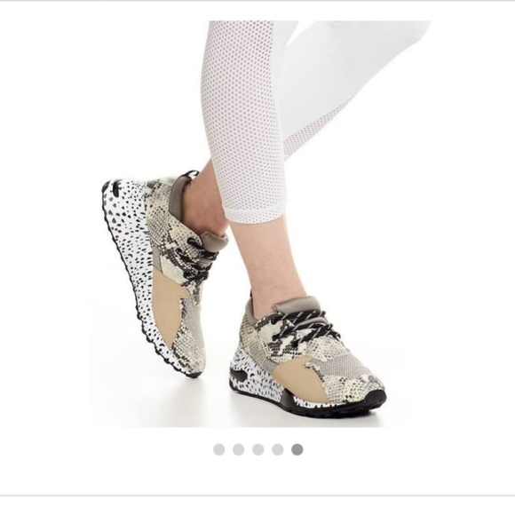 steve madden women's cliff sneakers